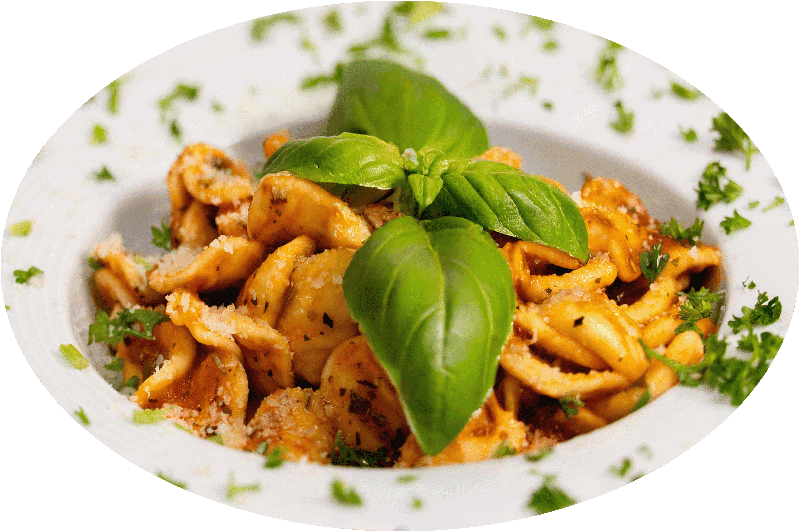 Pasta mit Tomatensoße garniert mit Basilikum