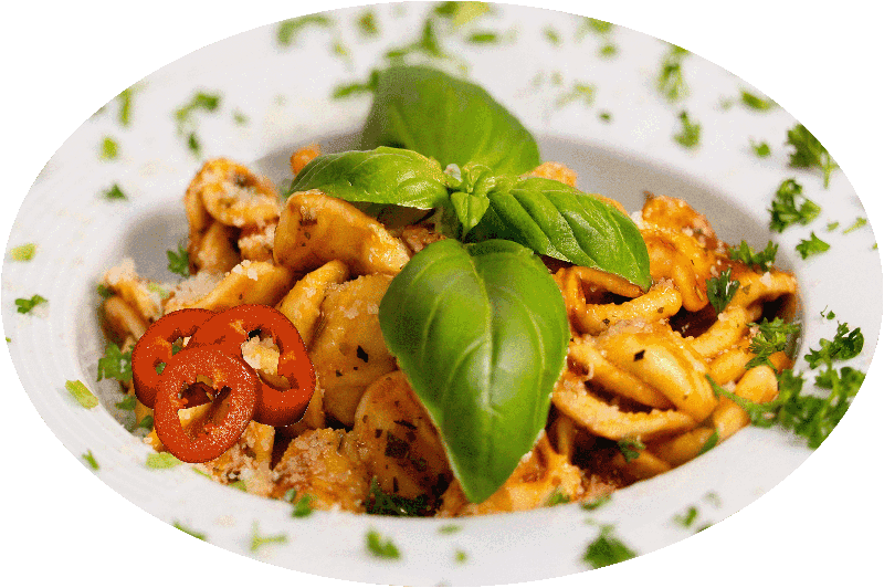 Pasta mit scharfer Tomatensoße und Basilikum